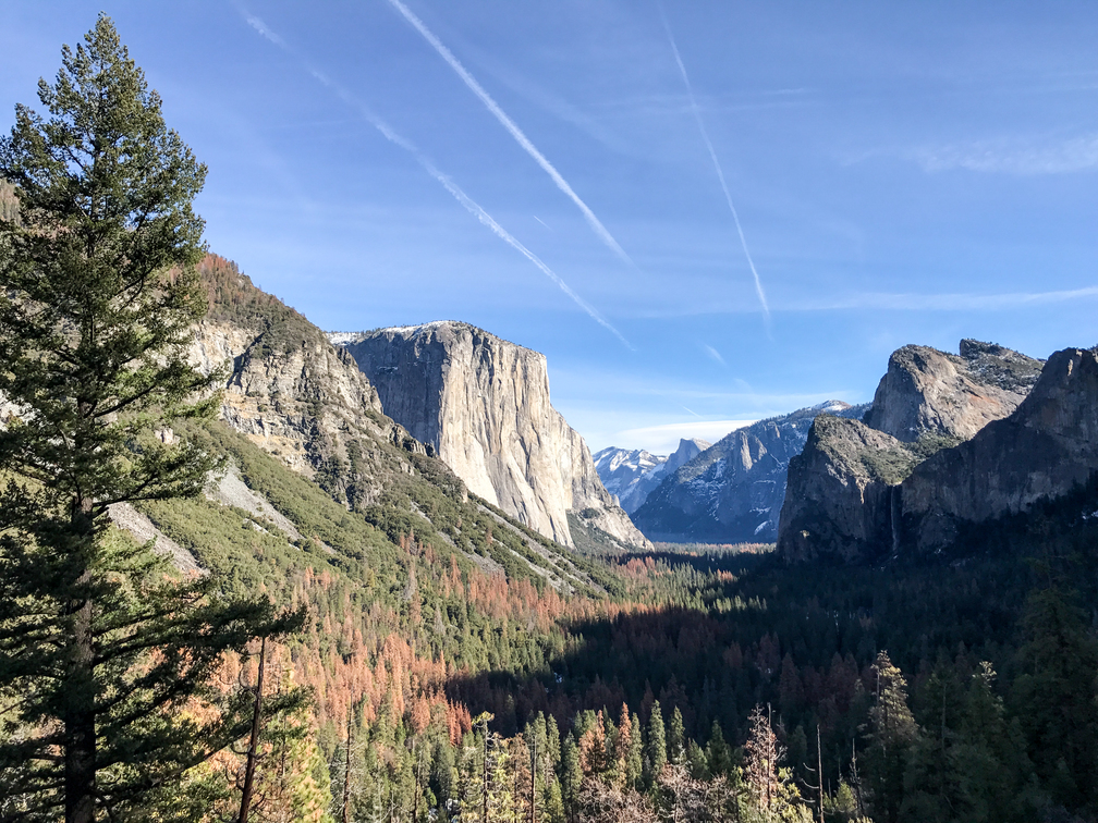 Yosemite National Park